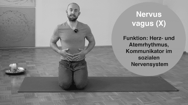 Fundament - Online Yogakurs für Einsteiger*innen