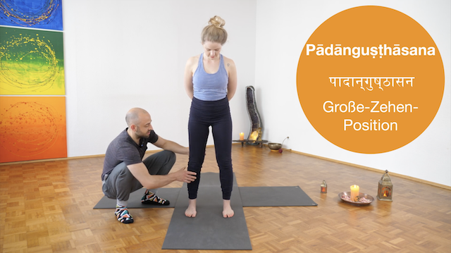 Fundament - Yoga Kurs für Einsteiger*innen (Online Kurs)